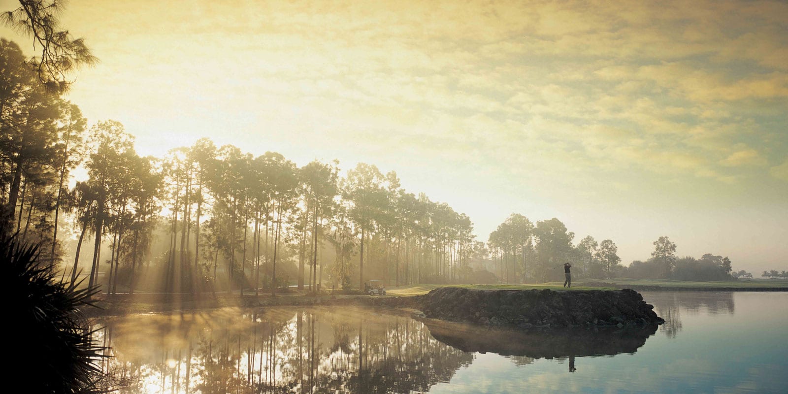 Grey Oaks header
