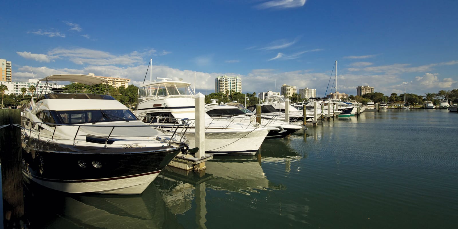 VUE Sarasota Bay Life Style