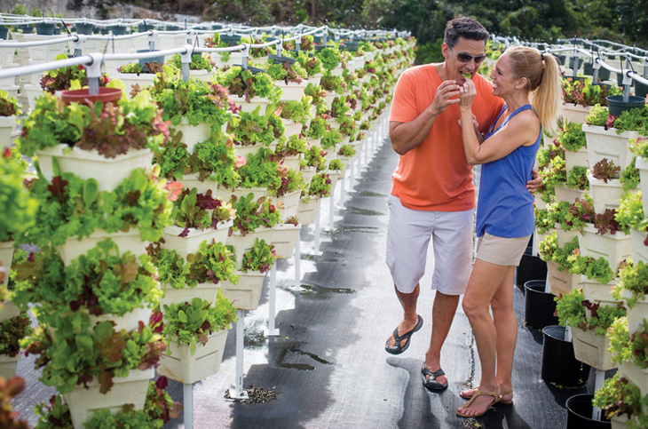 Baby Boomer Real Estate Trends