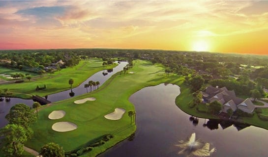 Golden Bear Realty