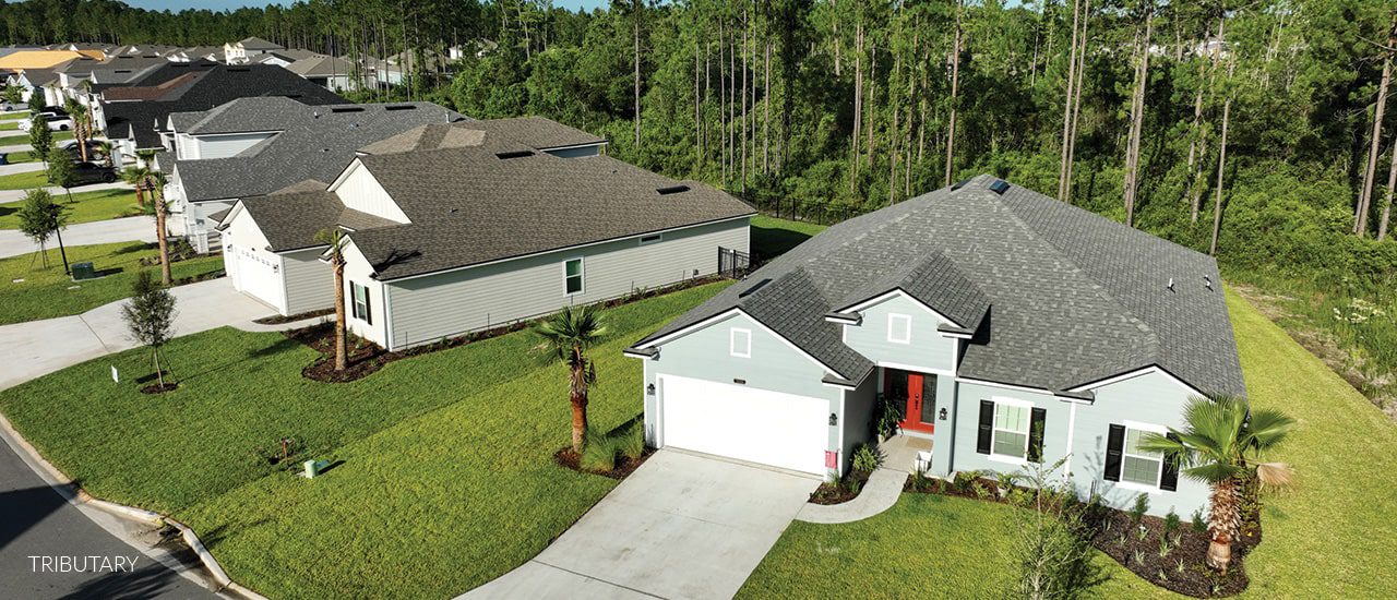 Tributary neighborhood street during real estate cycle
